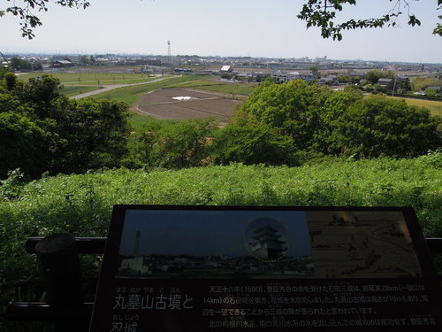 d0179225_6364169.jpg