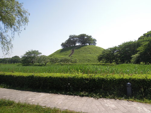 d0179225_636475.jpg