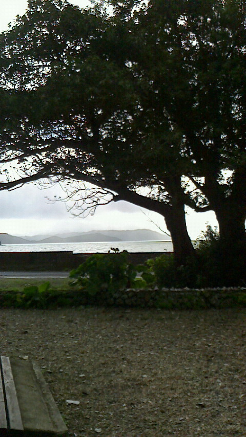 f0132234_91346.jpg