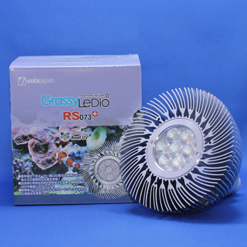 新商品入荷!_d0221436_19591629.jpg