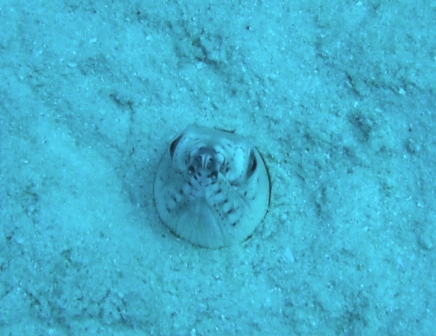 海日和ぃ~_a0189838_1758740.jpg