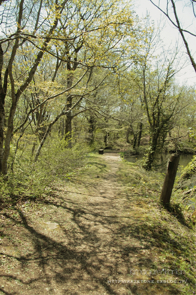 山のにおい　森のにおい　風のにおい②　吾妻山、池めぐり_b0197639_2382673.jpg