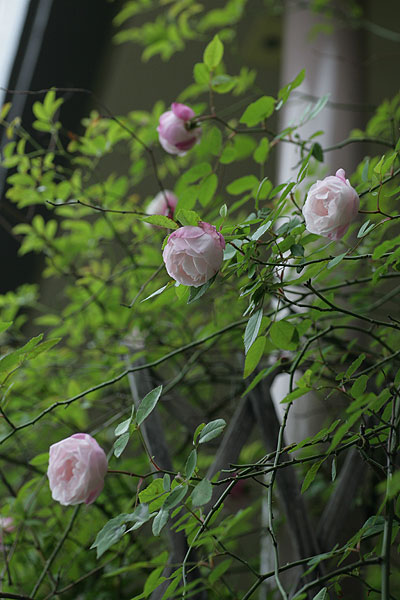 f0271343_1029383.jpg