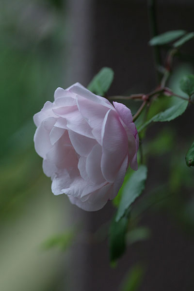 f0271343_10324010.jpg