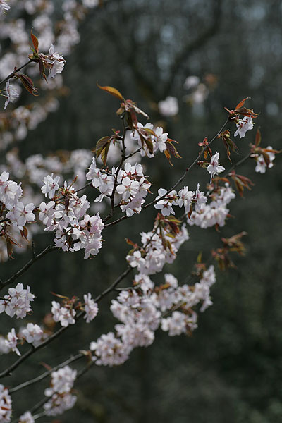 f0271343_10375461.jpg