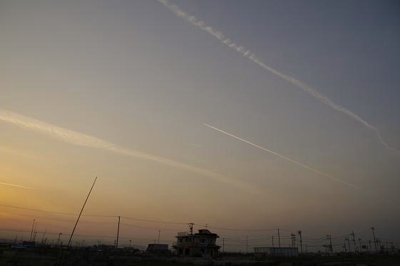 f0172547_20374674.jpg