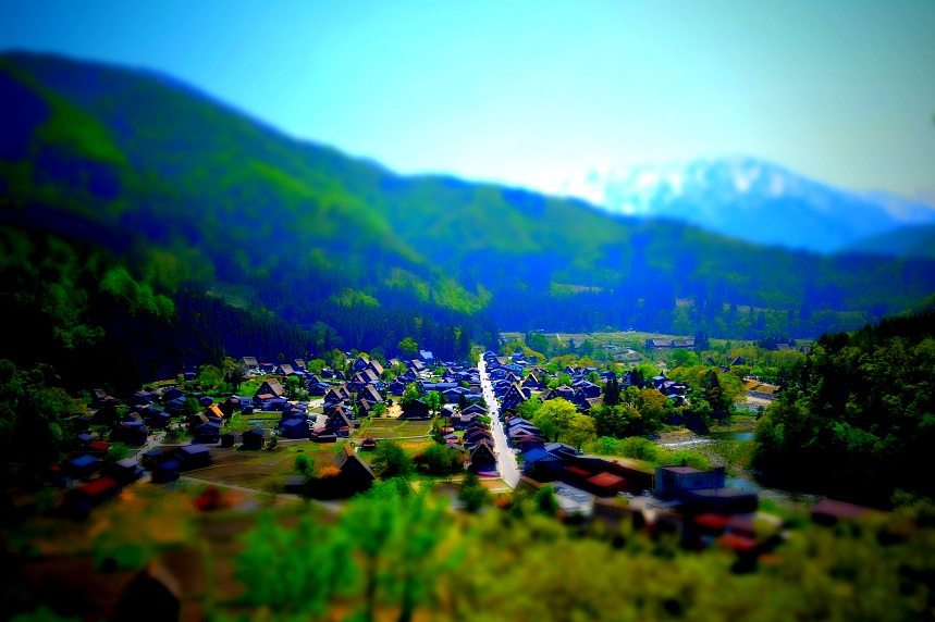 a0055650_93824.jpg