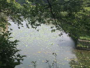 e0106251_22622.jpg