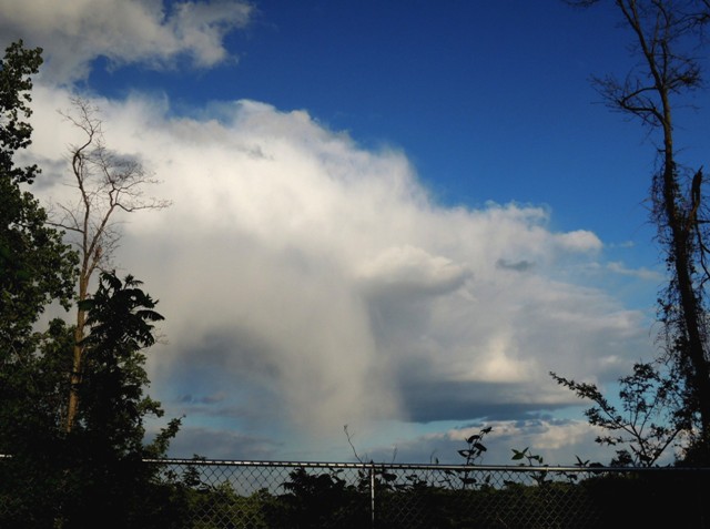 5月の太陽と空&Ryeで音叉の癒し_b0173754_15492483.jpg