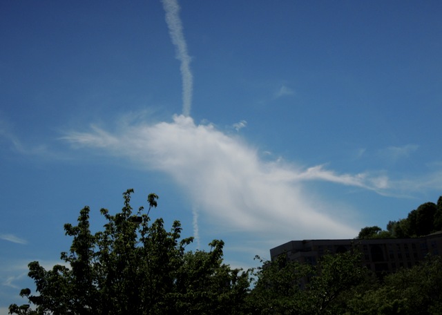 5月の太陽と空&Ryeで音叉の癒し_b0173754_15531850.jpg