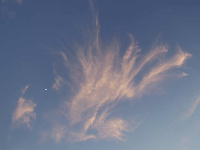 5月の太陽と空&Ryeで音叉の癒し_b0173754_15595892.jpg