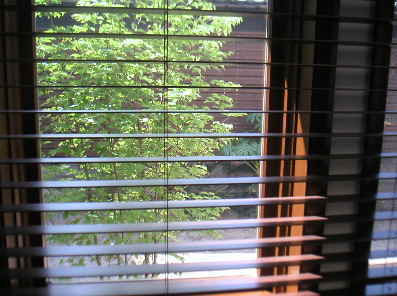 窓からの緑の眺め_c0297854_1938414.jpg