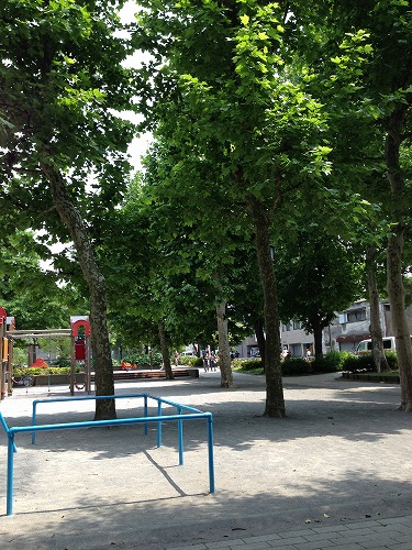 e0173855_9224496.jpg