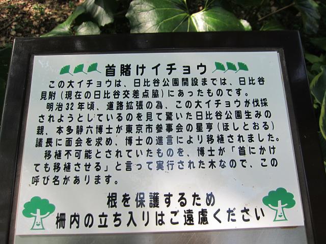 【日比谷公園のバラと新緑】_c0042960_22211350.jpg