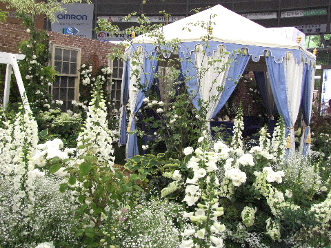 e0088260_12183998.jpg