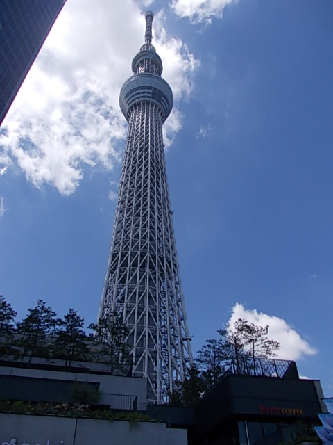 f0228664_1658057.jpg