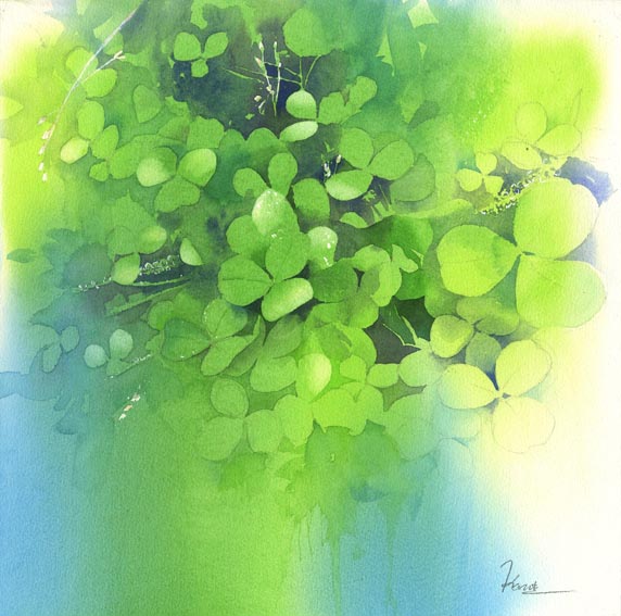 クローバー 水彩画_f0176370_11115736.jpg