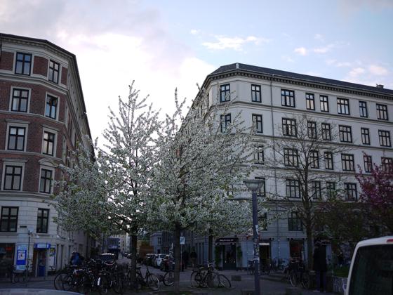 b0155872_1953019.jpg