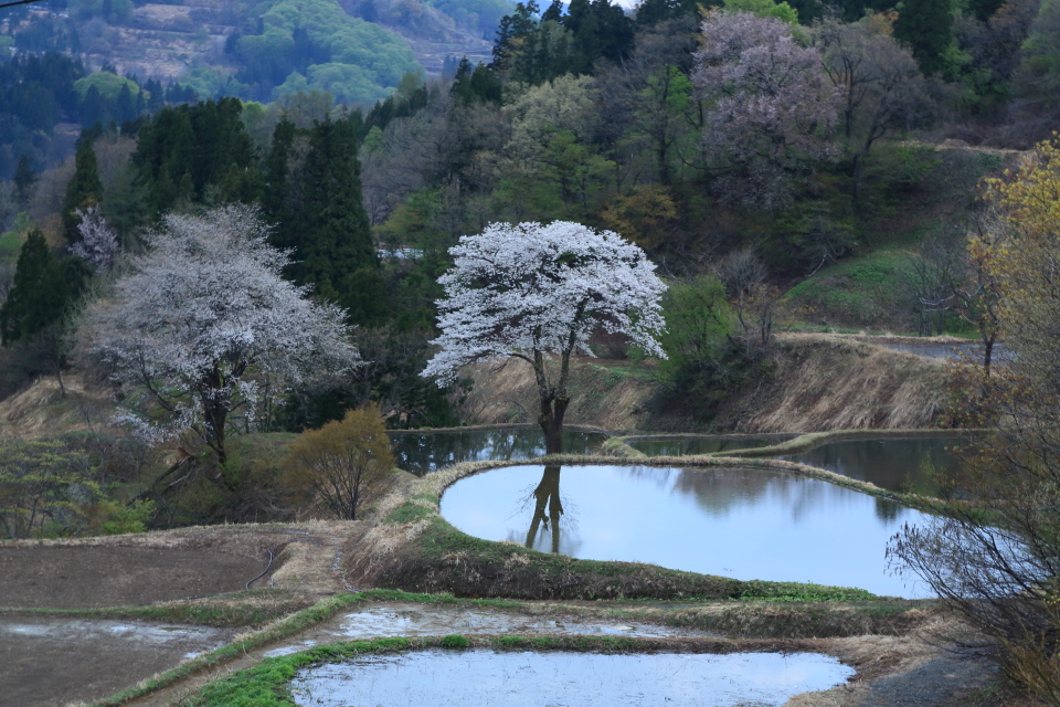 儀明の棚田_e0096372_6195343.jpg