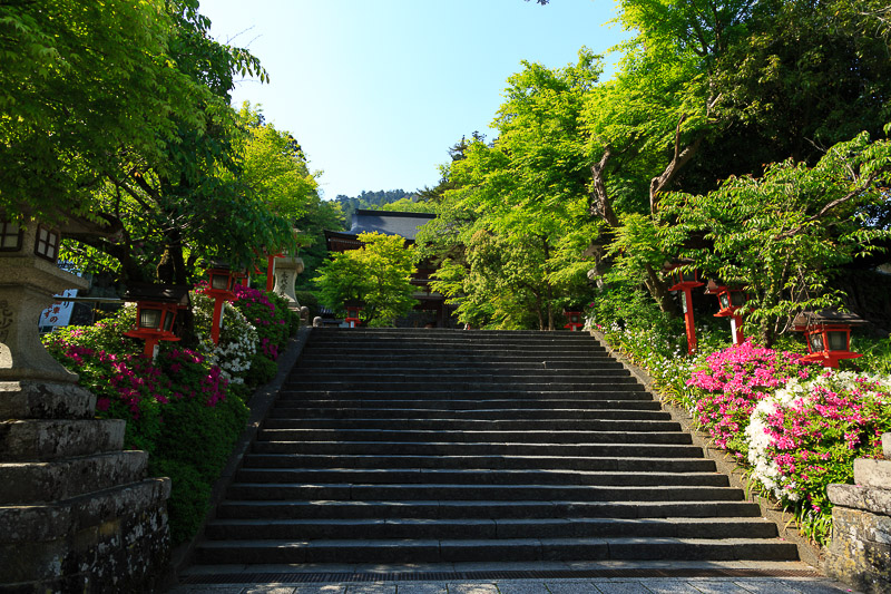 洛北道中　と　ちょっとだけ鞍馬寺_f0224083_23119100.jpg