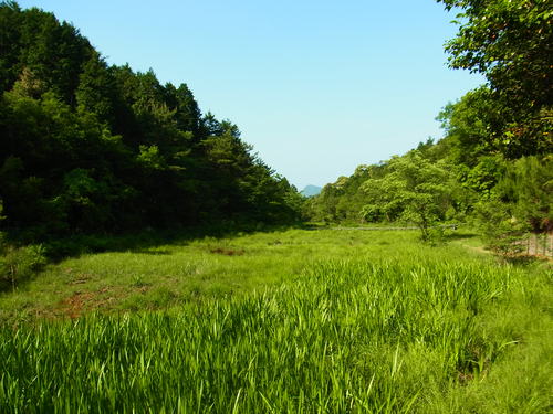 a0214490_1719687.jpg