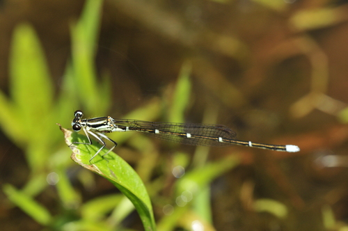 a0214490_1733433.jpg