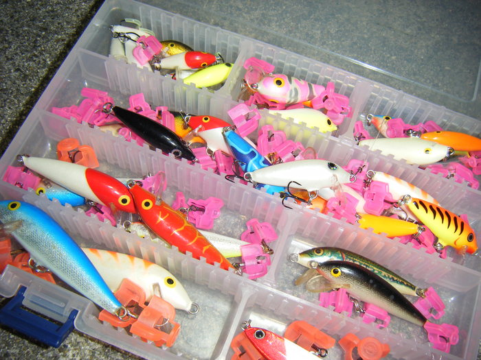 プラッキングのすすめ タモリンピック