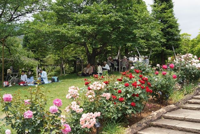 d0181492_2115382.jpg