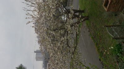 c0205393_20504263.jpg