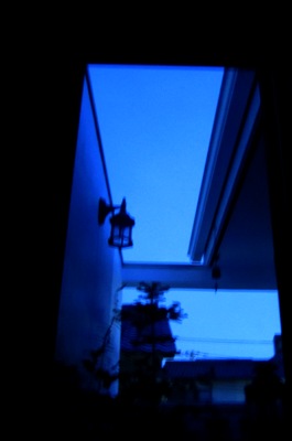 モミの木と くぅ~の群青色_d0249193_17422462.jpg