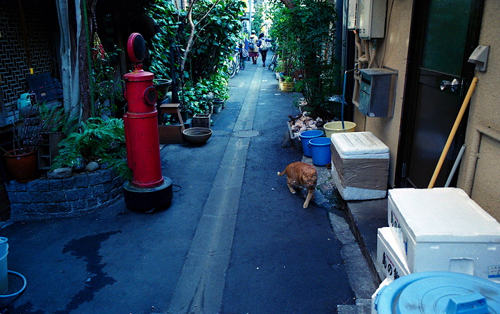 c0214494_2105352.jpg