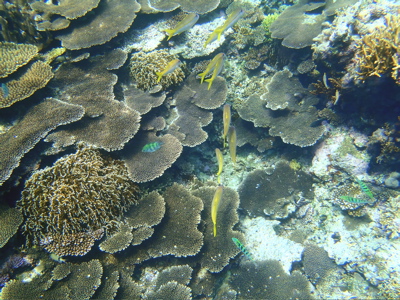 波照間島の海_f0232994_5195086.jpg