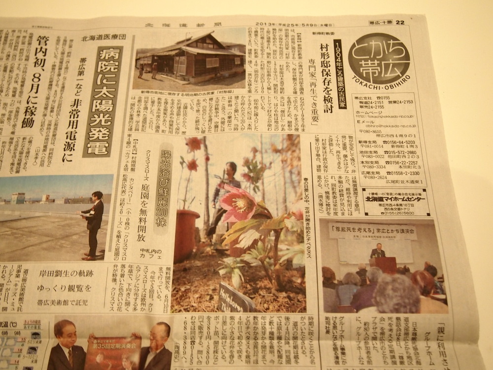 「カンタベリー・クリスマスローズ・ガーデン2013」花図鑑vol.2_f0276498_2339287.jpg