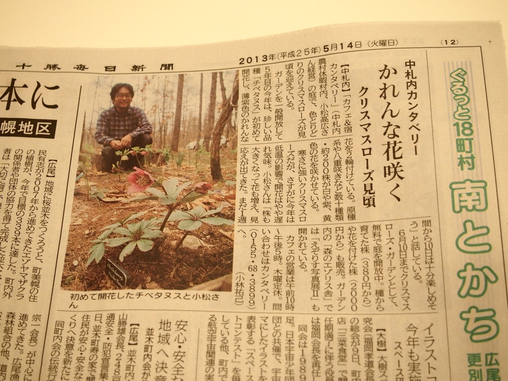 「カンタベリー・クリスマスローズ・ガーデン2013」花図鑑vol.2_f0276498_2340796.jpg