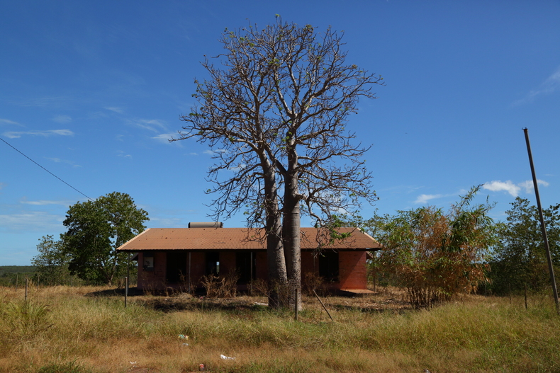 c0248100_18777.jpg