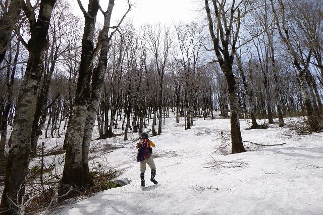 大展望の白髭山から寒風山縦走_e0137200_17552822.jpg