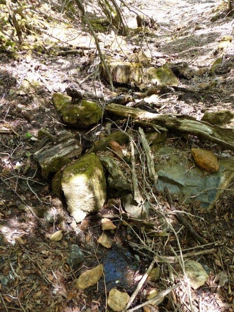b0025101_112828.jpg