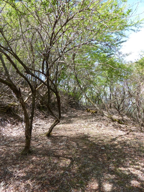 b0025101_1153228.jpg