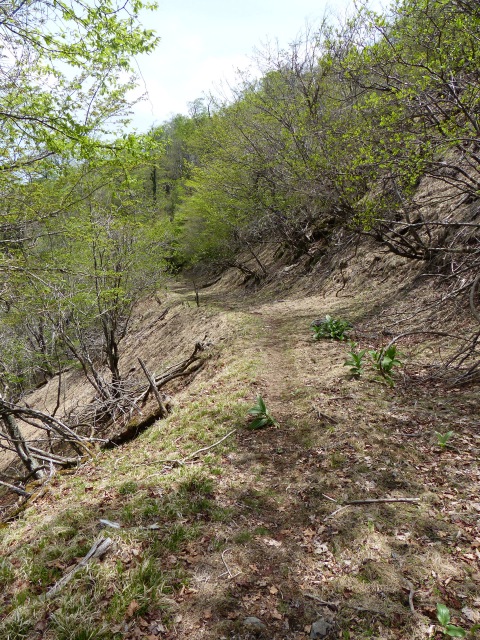 b0025101_1325196.jpg