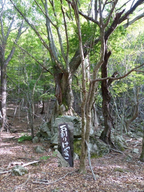 b0025101_13259.jpg