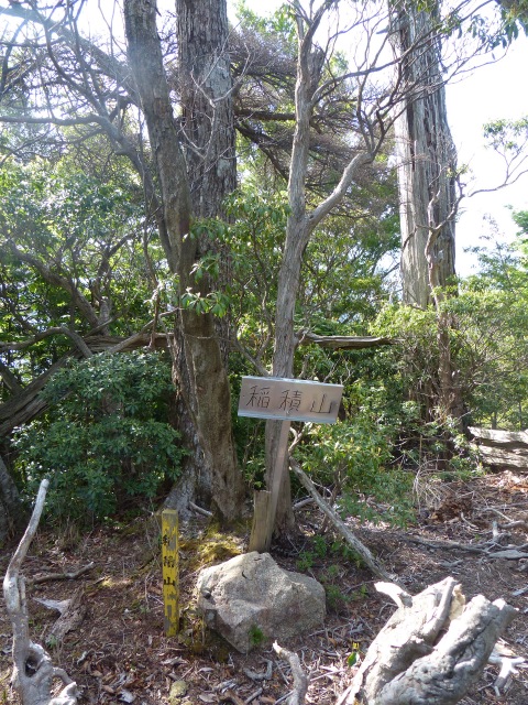 b0025101_182662.jpg