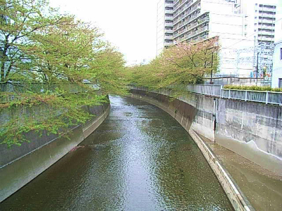 神田川ラン_a0036808_1553535.jpg