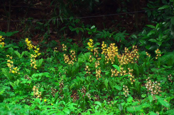 a0263109_22312210.jpg