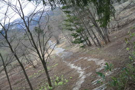d0119909_16181147.jpg