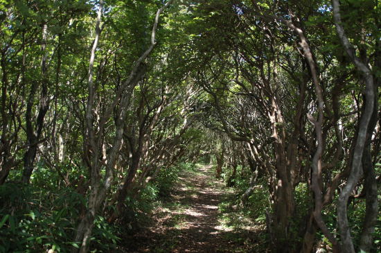 f0196109_23121764.jpg