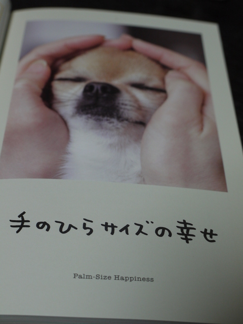 人生はワンチャンス ちいさな幸せのある毎日 人生はワンチャンス ちいさな幸せのある毎日
