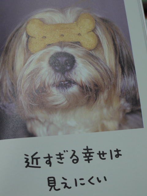 人生はワンチャンス ちいさな幸せのある毎日