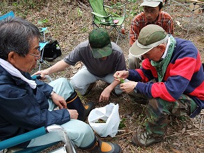 平成25年5月18日(土) 北山山林 天候:晴 参加:16人_c0173813_21442465.jpg