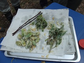 平成25年5月18日(土) 北山山林 天候:晴 参加:16人_c0173813_21473638.jpg