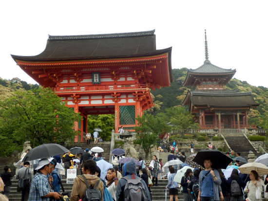 雨の清水寺 青もみじ_e0048413_19274776.jpg
